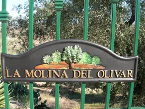 La Molina Del Olivar - Peaceful Location - Image 4