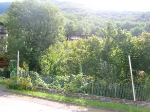 B&B Al Carotin - Image 2