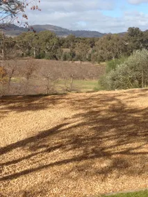 Barossa Idyll 3 beds - town centre, amazing views - Image 3