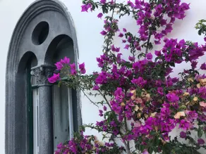 House ”Bougainville” in a Villa surrounded by greenery - Image 2
