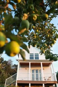 The Orchard Oasis: Charming & Romantic Farm Stay - Image 3