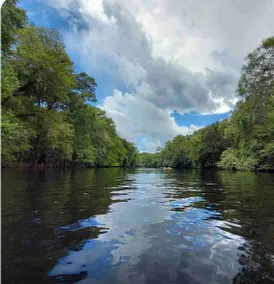 Ocala’s Family Place - Image 5