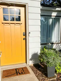 The Mustard Door - Image 2