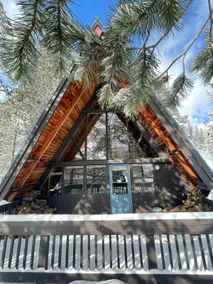 Ny! Mid-Century Modern A-frame hytte ved søen - Image 2