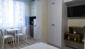Comfortable studio at Yuzhny Railway Station - Image 4