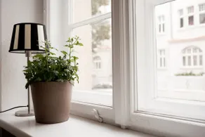First-class apartment near the old town! - Image 4