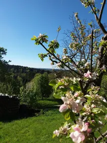 Ferienhaus Schwäbischer Wald - Image 4