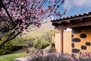 Casa Elena - Image 3