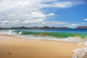 Aledu Apartments near Playa Conchal - Image 5