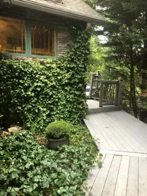 Lake Keowee waterfront private cove Close 2Clemson - Image 2