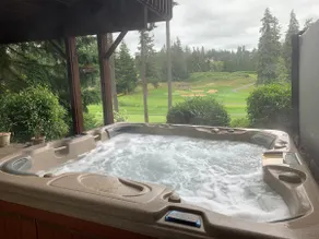 Privacy, Views, & Luxury, Near Downtown Bellevue! - Image 3