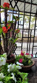 Feel the Bong vibes in a villa nearest to airport. - Image 5