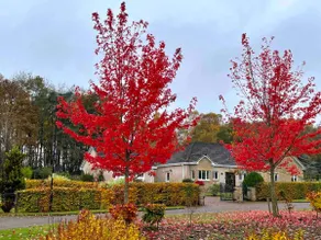 'The Willows' A Charming home on Dollarbeg Castle Estate - Image 5