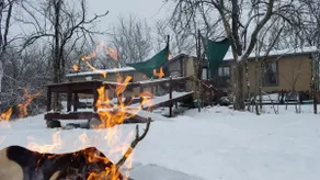 Eco Cabin on Bamboo Farm in KS/MO - Image 5