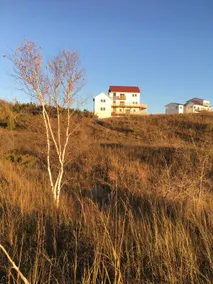 Birch at LBP-Spectacular Lake Michigan - Image 3