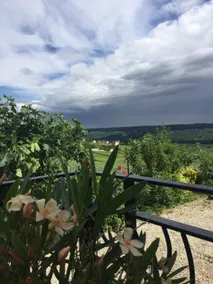 Maison Le Figuier, a stone's throw from the winemaker - Image 2