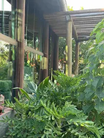 Casa da Vovó - Sweet Corn - Image 5