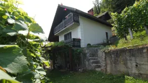 Vineyard Cottage Zajc - Image 2