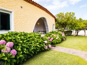 Rotonda Cottage 34 - modern flat with pool in Baja Sardinia - Image 3