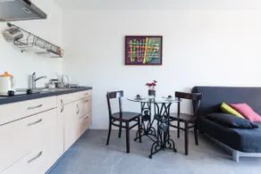 Tolminski Lom-The chestnut flat - Image 4