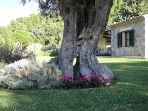 Great views country home in Valldemossa - Image 4