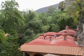 Collection O Hotel Hacienda San Antonio Del Battan - Image 5