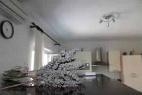 Kovačević-Vlašić Apartment - Image 3