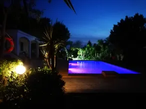 Villa with swimming pool and private pine forest 100 meters from the sea - Image 2