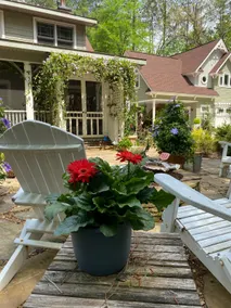 Adorable 1-bedroom guesthouse on the river - Image 4