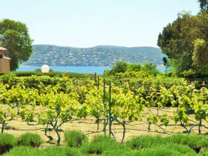 Lovely "Provence" villa with sea view, private heated pool and beautiful garden - Image 4