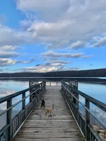 Lake Cabin Escape Firepit•Fenced yard•Dogs welcome - Image 3