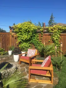 Sunny Stays, Pup Friendly, Low Fees - Image 3