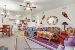 Fabulous Mountain-view Condo Hike & Destress - Image 4