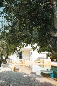 Smuk karakter Villa og Trullo i Ostuni Olive Grove med privat pool - Image 3