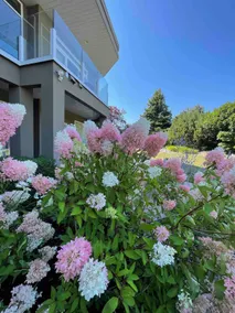 Spacious 、comfortable and garden view rooms - Image 4