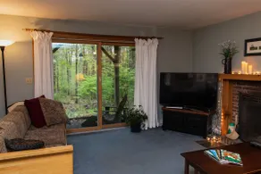 Woodsy hideaway apartment - Image 4