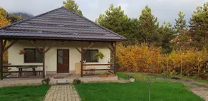 Limpedea Green house with pool Baia Mare city - Image 3