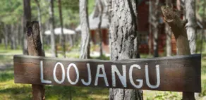 Loojangu, beautiful loghouse by the sea - Image 3