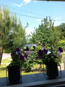 accommodation with outdoor space - Image 4