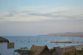 Las Terrazas - Organos & Mancora. - Image 3