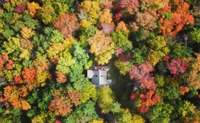 Cozy Eastman Cabin - Image 4
