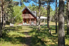 Loojangu, beautiful loghouse by the sea - Image 4