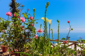 Villa Matilde Amalfi - Image 4