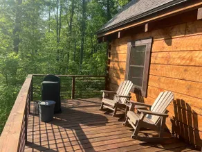 Cohosh - Hand hewn private log cabin with views - Image 5