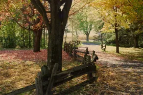 Peaceful country style home! - Image 4