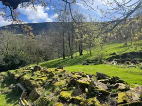 Secluded Mountain Retreat - Image 4