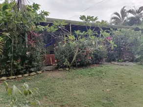 Casa Golfo Dulce (3 Bed) - Image 2