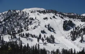 The Treehouse at Emerald Bay - Image 4