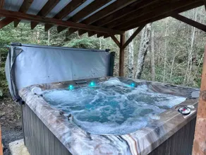 Luxury Rainier Cabin-Hot Tub-Sauna-Arcade-EV - Image 2