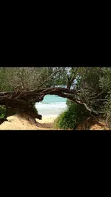Beachside Phillip Island - Image 4